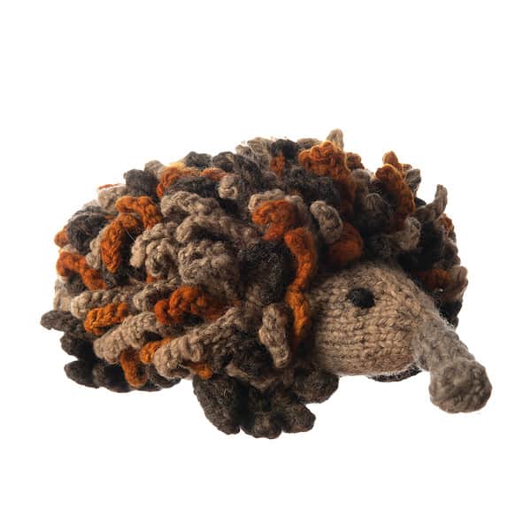 Bundu Echidna - Image 2