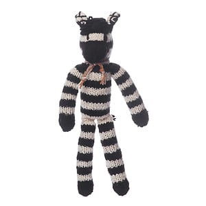 Spider Zebra