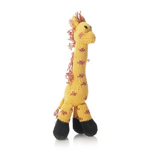 Bush baby Giraffe