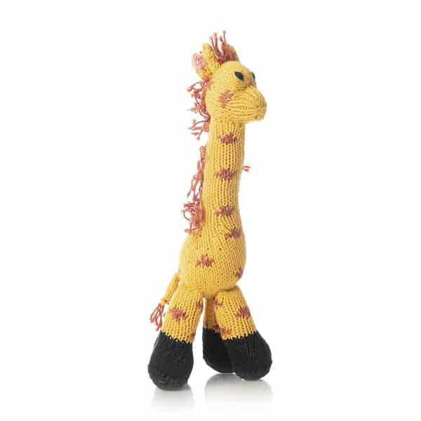 Bush baby Giraffe