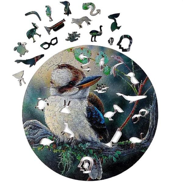 Kookaburra - Image 6