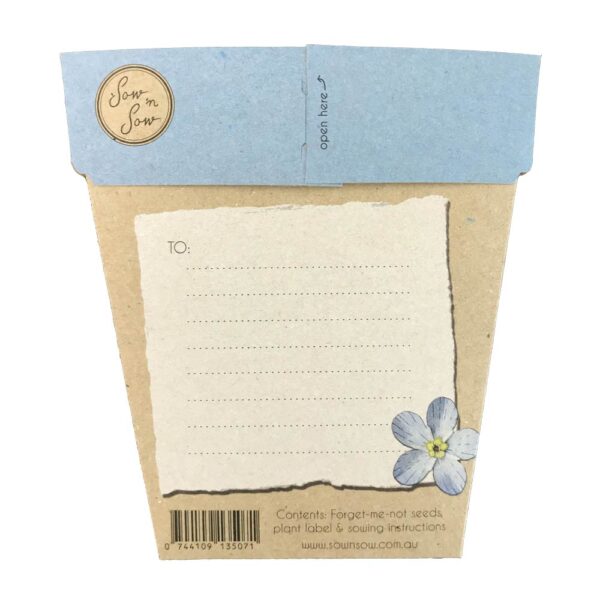 Forget-me-not - Image 2