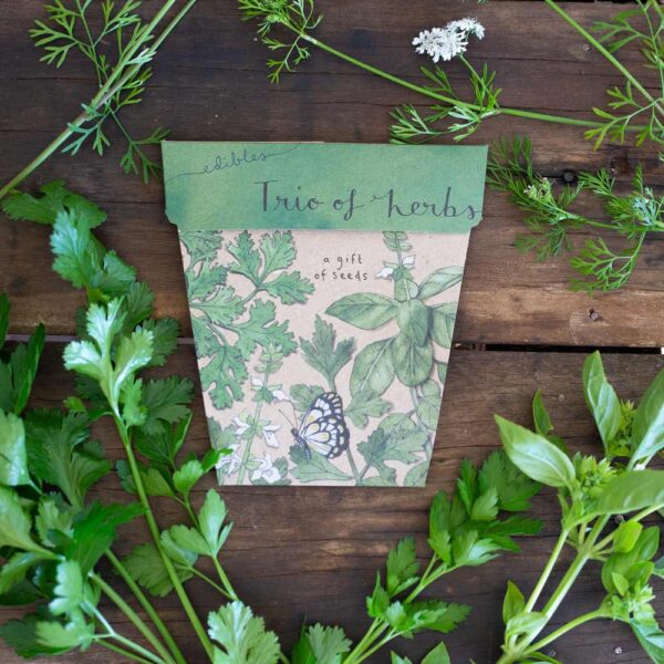 Trio of Herbs - Image 6
