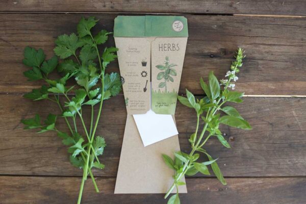 Trio of Herbs - Image 8
