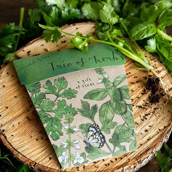 Trio of Herbs - Image 3