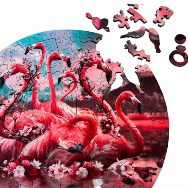 Flamingos - Image 4